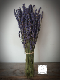 Lavendel gedroogd bos
