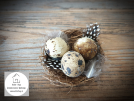 Nestje met kwarteleitjes