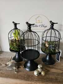 Vogelkooi op etagère