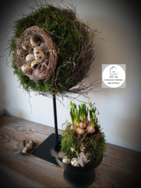Wiel van mos met nest