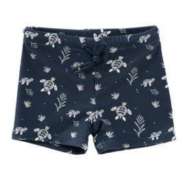 Fresk UV Swimpants Turtle