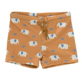Fresk UV Swimpants Elefant
