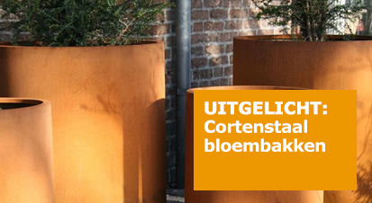 https://cortenexpert.myonline.store/c-5337460/cortenstaal-bloembak/