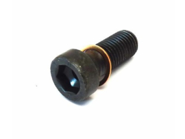 Inbusbout as / kop M 20 x 50 mm