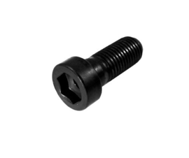 Inbusbout as/ kop M 16 x 40 mm
