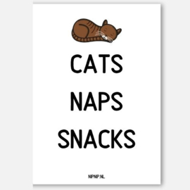Cats Naps Snacks | Kaartje