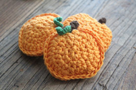 Pumpkin Patch | Pompoen Oranje