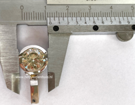 Hanger 14kt. goud met 3.01crt diamant