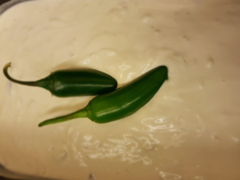 Jalapenosaus