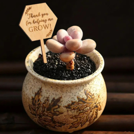 Plantenprikker juf meester - Thank you for helping me grow - hexagon - leerkracht -  school - leuk geven - cadeau juffendag