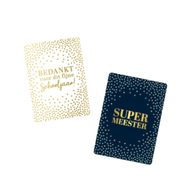 2x mini kaartje - Meester -  bedankt voor dit fijne schooljaar - leerkracht - onderwijs - school - vakantie