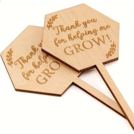 Plantenprikker juf meester - Thank you for helping me grow - hexagon - leerkracht -  school - leuk geven - cadeau juffendag