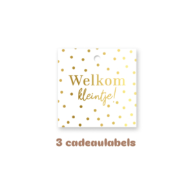3x Cadeaulabel Welkom kleintje - geboorte