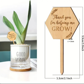 Plantenprikker juf meester - Thank you for helping me grow - hexagon - leerkracht -  school - leuk geven - cadeau juffendag
