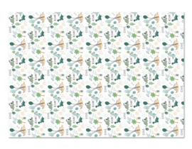 Nynke Ontwerpt  Cadeaupapier Dino