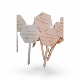 Plantenprikker juf meester - Thank you for helping me grow - hexagon - leerkracht -  school - leuk geven - cadeau juffendag
