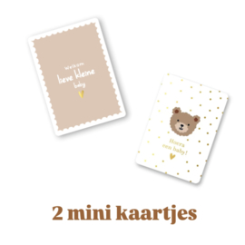 2x mini Baby kaartje - little bears - baby - geboorte - cadeau leuk inpakken