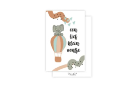 Nynke Ontwerpt Mini-kaart " Een lief klein ventje"