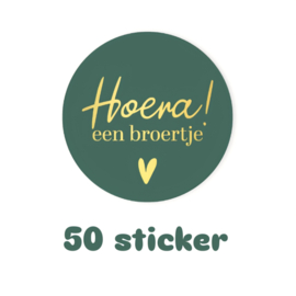 50x sticker - HOERA een Broertje - geboorte - baby - Grote zus broer - leuk inpakken - Sluitstickers  - cadeausticker