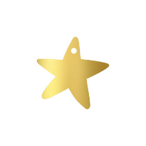 3x Cadeaulabel Gouden Ster