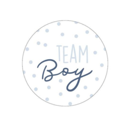 10x Sticker "Team Boy"