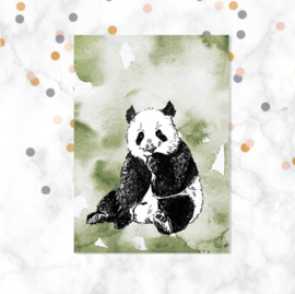 A6 kaart Panda
