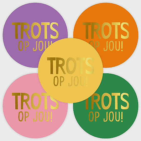 30x Sticker TROTS OP JOU - school - examen - kanjer - topper