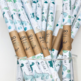 Nynke Ontwerpt  Cadeaupapier Dino