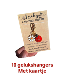 10 Gelukshanger ladybug - goudlook - lieveheersbeestje - lucky charm - geluk - hart over de riem - cadeautje - dobbelspel