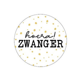 10x  Sticker Hoera Zwanger