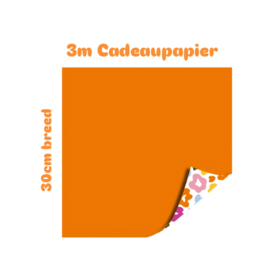 3m Cadeaupapier - Leopard - Color - 30 cm - luipaard