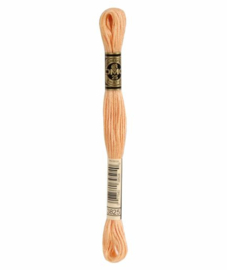 DMC Mouliné Borduurgaren 3825