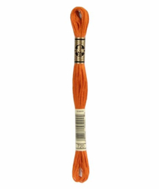 DMC Mouliné Borduurgaren 720