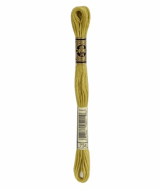 DMC Mouliné Borduurgaren 734
