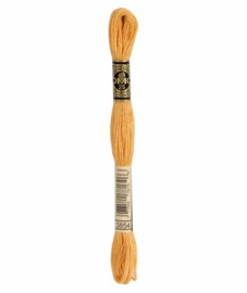 DMC Mouliné Borduurgaren 3854