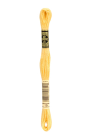 DMC Mouliné Borduurgaren 19