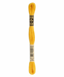 DMC Mouliné Borduurgaren 742