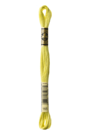 DMC Mouliné Borduurgaren 165
