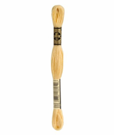 DMC Mouliné Borduurgaren 3855