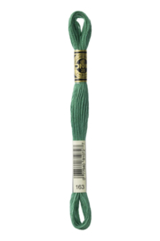 DMC Mouliné Borduurgaren 163