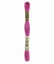 DMC Mouliné Borduurgaren 3607