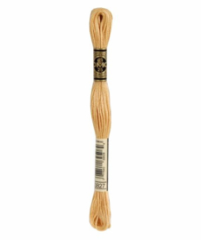 DMC Mouliné Borduurgaren 3827