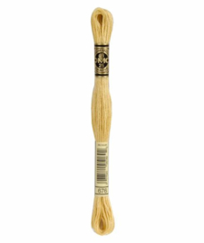 DMC Mouliné Borduurgaren 676