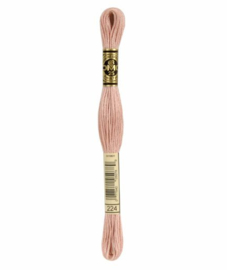 DMC Mouliné Borduurgaren 224