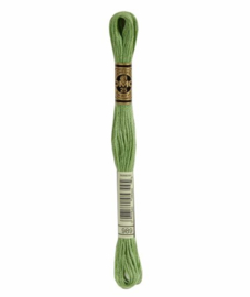 DMC Mouliné Borduurgaren 989