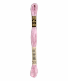 DMC Mouliné Borduurgaren 3689
