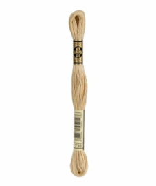 DMC Mouliné Borduurgaren 738