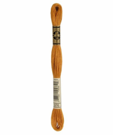 DMC Mouliné Borduurgaren 976