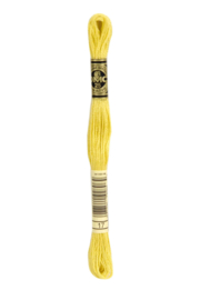DMC Mouliné Borduurgaren 17