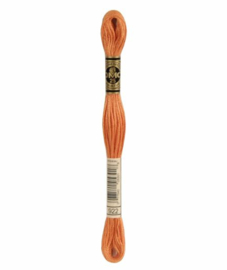 DMC Mouliné Borduurgaren 922